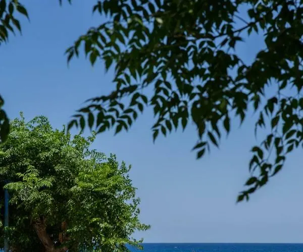 Casa Elizabeta 펜션 *